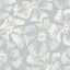 White Flower White Flower